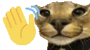 flopahi