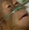 MONKEDOWN Discord emoji
