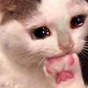 catplsno