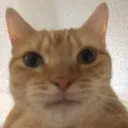 metoo