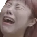 WheeinSob