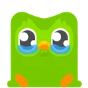 duolingoCry