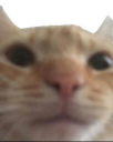 PP_angrysoop Discord emoji
