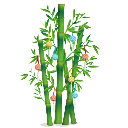 bamboo
