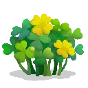 clover
