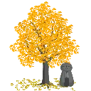 ginkgo
