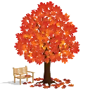 maple_tree