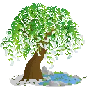 weeping_willow