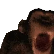 MONKE