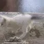 CattwerkOk CattwerkOk