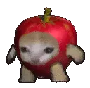 GatoTriste