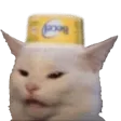 confusedBecel