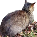 LukiBreadLoaf