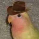 gnob gnob