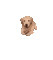cutegolden Discord emoji