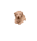 cutegolden