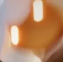 dharma_skream