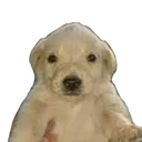 855979743324536842.png