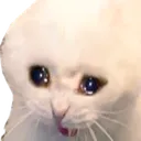 sad_cat sad_cat