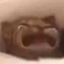 agony