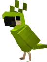 parrot