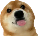 blep