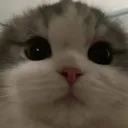 z_stare z_stare
