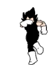 ekVegetadance