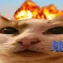 heilo