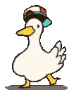 duckdance