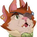 Zeki_pog