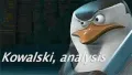 kowalskianalysis