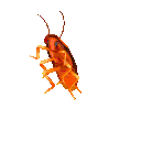cockroachVibing