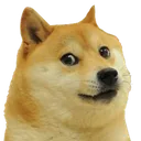 doge Discord Emoji