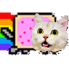 nyan Discord emoji