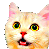 shakerave Discord emoji
