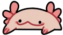 bongolotl bongolotl