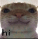 HI