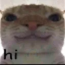 HI HI