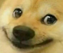 Dogesh Discord emoji