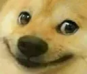 Dogesh