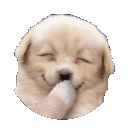 ga_tihi