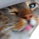LukiHappyWink
