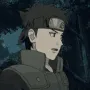 ShisuiLeave