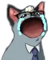 raymondwailcry