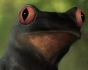 Drog2