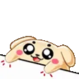 puppbongoo
