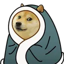 cozydoge cozydoge