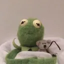 KermitSleepy KermitSleepy