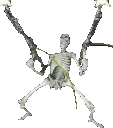 brrt brrt